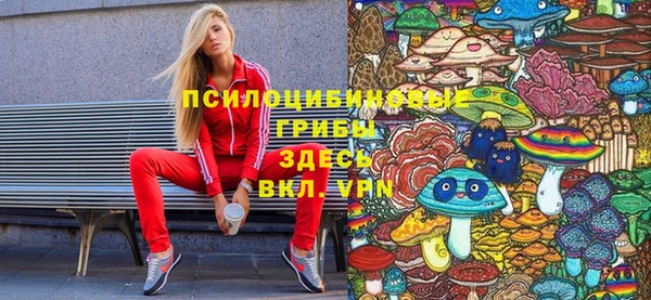 СК Арсеньев