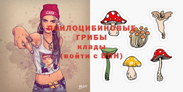 СК Арсеньев
